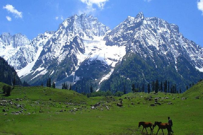 Best of Kashmir
