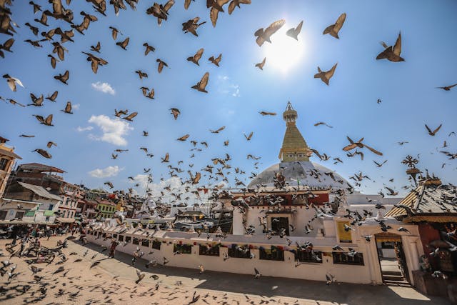 Kathmandu & Pokhara Getaway by Air