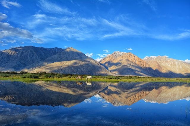 Best of Ladakh