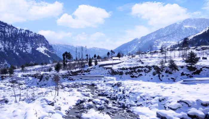 Paradise Manali