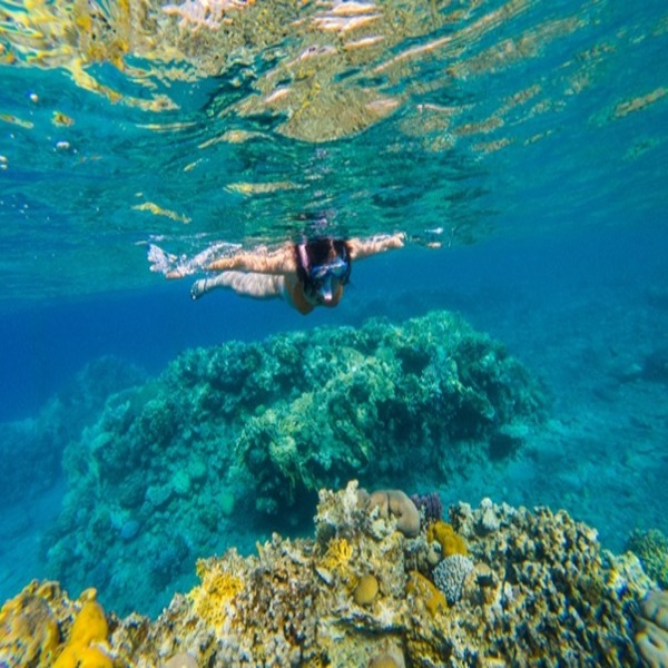 Paradise Andaman Tour Package