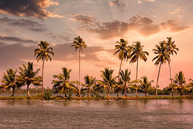 Munnar Alleppey Quick Tour