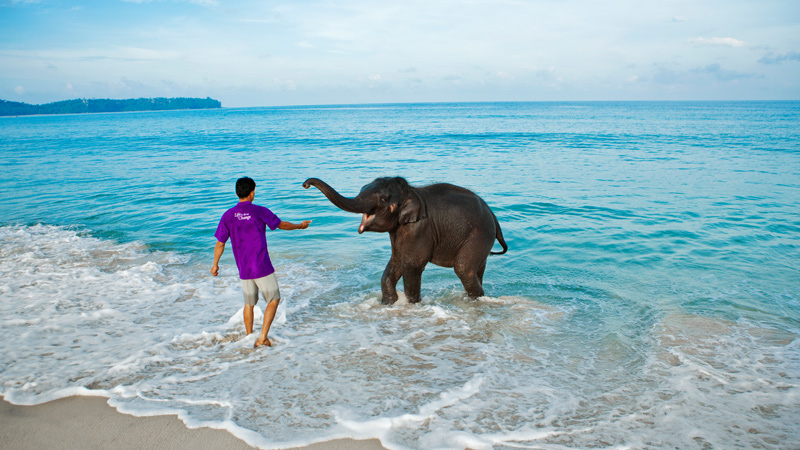 Classic Andaman Trip